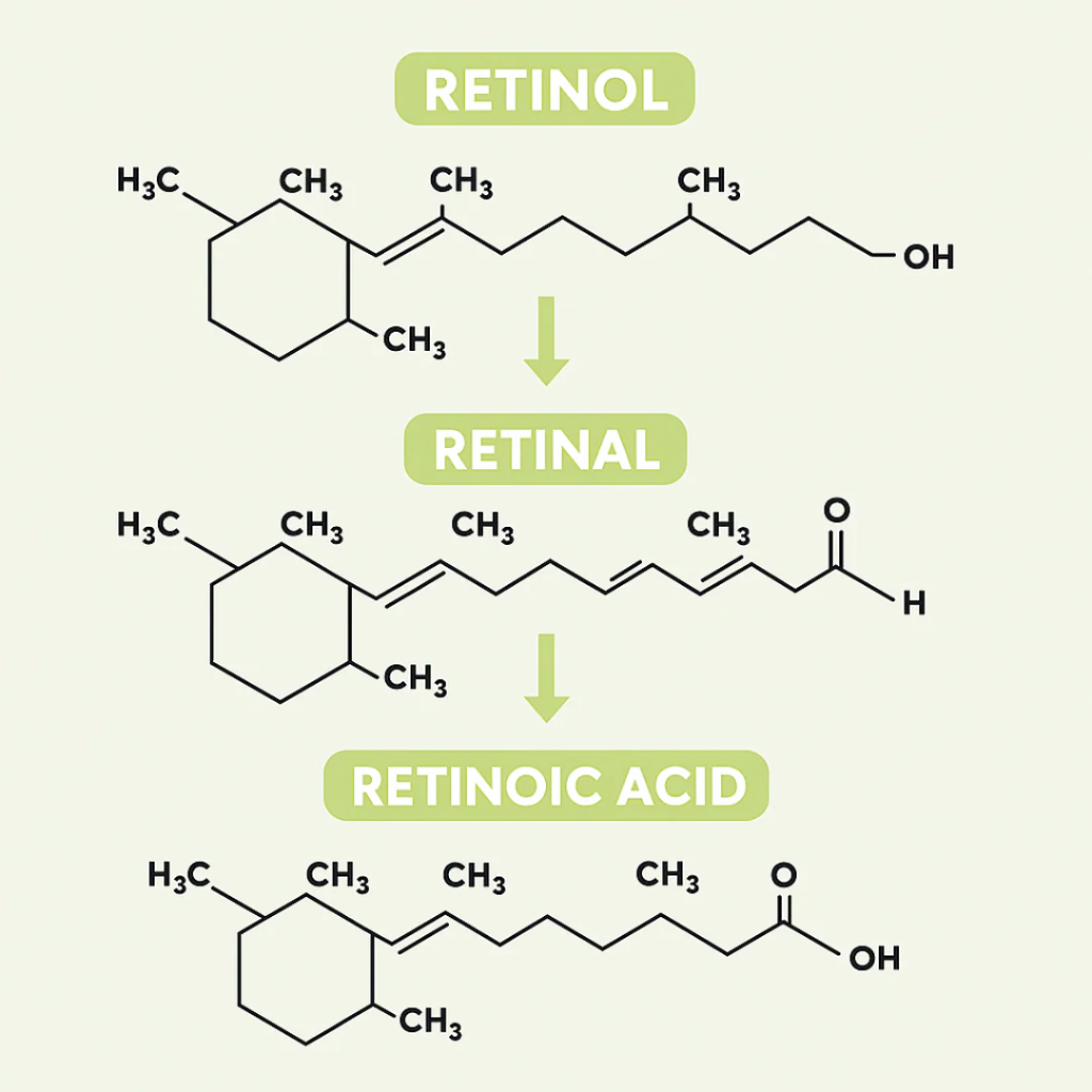Retivelle™ L’alternative nouvelle génération au rétinol